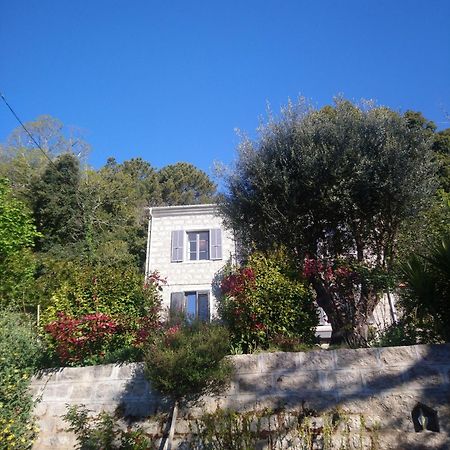 Casa Tanghicciola Apartment Levie Exterior photo