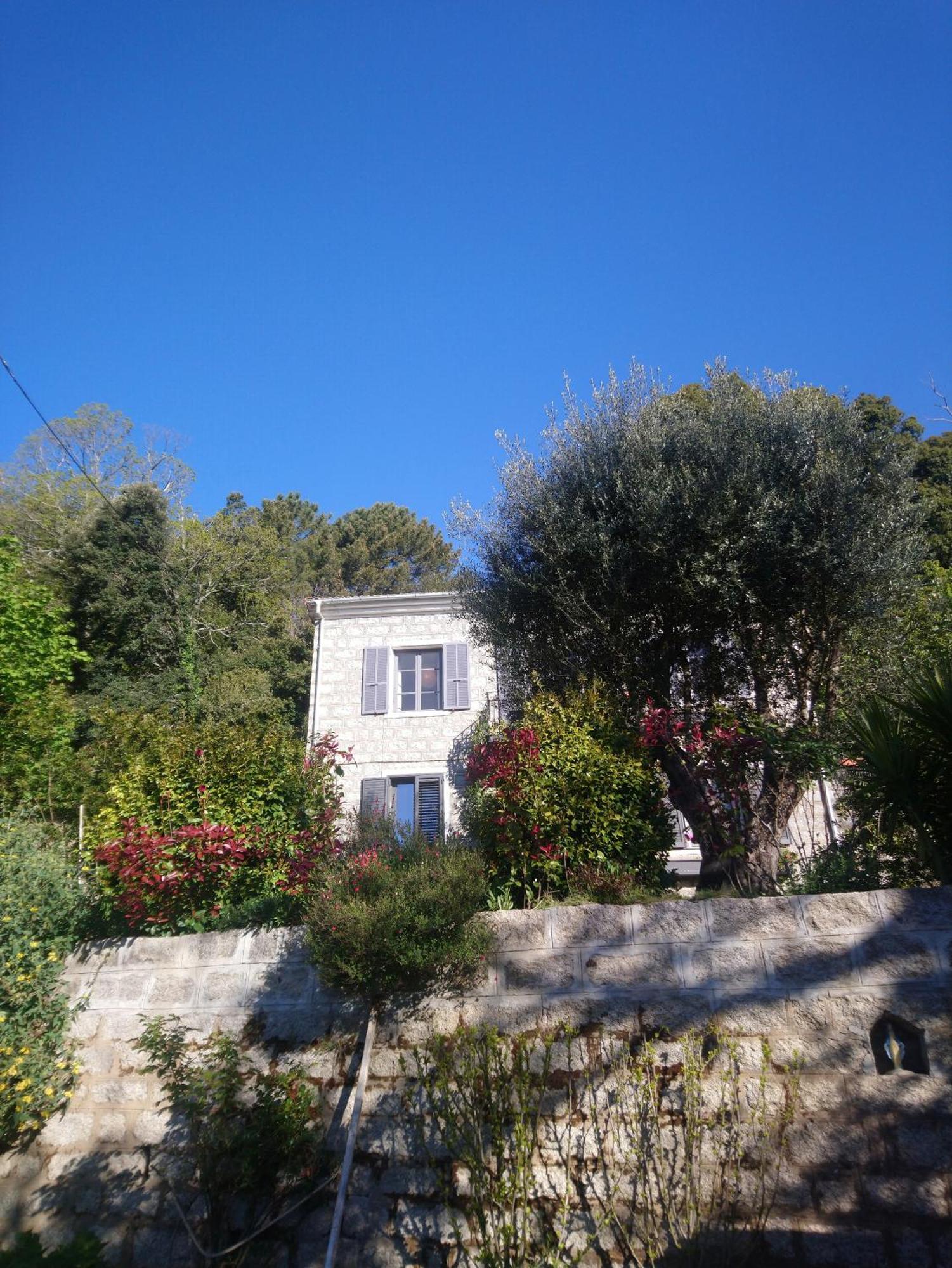 Casa Tanghicciola Apartment Levie Exterior photo